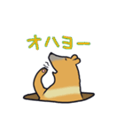 はいいろくま（個別スタンプ：2）