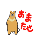 はいいろくま（個別スタンプ：6）