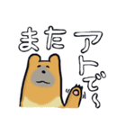 はいいろくま（個別スタンプ：17）