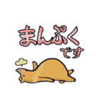 はいいろくま（個別スタンプ：18）