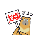 はいいろくま（個別スタンプ：25）
