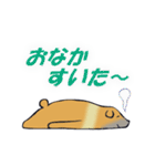 はいいろくま（個別スタンプ：38）