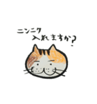 よくしゃべるねこ（個別スタンプ：5）