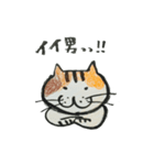 よくしゃべるねこ（個別スタンプ：13）