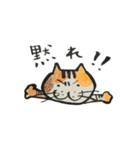 よくしゃべるねこ（個別スタンプ：37）