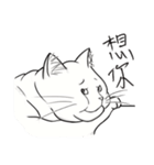 Fat Fat Cats（個別スタンプ：14）