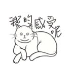 Fat Fat Cats（個別スタンプ：28）