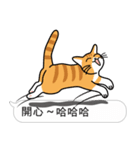 Meow Star to help2~Occupy Chat（個別スタンプ：1）