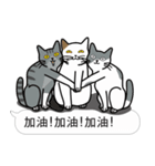 Meow Star to help2~Occupy Chat（個別スタンプ：3）