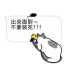 Meow Star to help2~Occupy Chat（個別スタンプ：8）