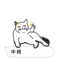 Meow Star to help2~Occupy Chat（個別スタンプ：9）