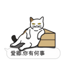 Meow Star to help2~Occupy Chat（個別スタンプ：17）