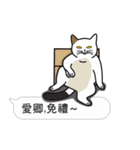 Meow Star to help2~Occupy Chat（個別スタンプ：18）