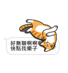 Meow Star to help2~Occupy Chat（個別スタンプ：21）