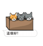 Meow Star to help2~Occupy Chat（個別スタンプ：22）