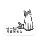 Meow Star to help2~Occupy Chat（個別スタンプ：26）