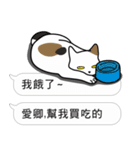 Meow Star to help2~Occupy Chat（個別スタンプ：29）