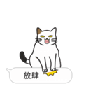 Meow Star to help2~Occupy Chat（個別スタンプ：30）