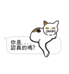 Meow Star to help2~Occupy Chat（個別スタンプ：33）