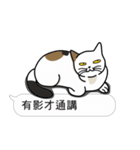 Meow Star to help2~Occupy Chat（個別スタンプ：39）