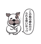 犬のカマセさん《日々のトーク編》改良版（個別スタンプ：3）