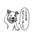 犬のカマセさん《日々のトーク編》改良版（個別スタンプ：14）