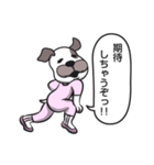 犬のカマセさん《日々のトーク編》改良版（個別スタンプ：29）