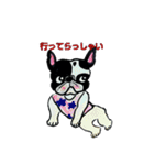 フレブル★まゆげ犬どん④（個別スタンプ：6）
