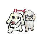 フレブル★まゆげ犬どん④（個別スタンプ：19）