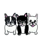 フレブル★まゆげ犬どん④（個別スタンプ：39）