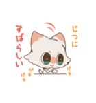 ほめてほしい猫のスタンプ（個別スタンプ：38）