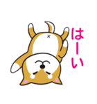 ダメな犬達（個別スタンプ：1）