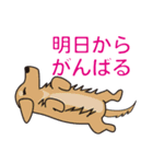 ダメな犬達（個別スタンプ：8）