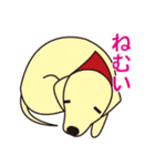 ダメな犬達（個別スタンプ：12）