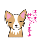 ダメな犬達（個別スタンプ：17）