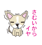 ダメな犬達（個別スタンプ：24）