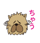 ダメな犬達（個別スタンプ：35）