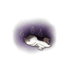 Lv.1  Squirrel GoGo（個別スタンプ：8）