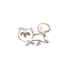 Lv.1  Squirrel GoGo（個別スタンプ：16）