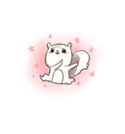 Lv.1  Squirrel GoGo（個別スタンプ：24）
