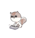 Lv.1  Squirrel GoGo（個別スタンプ：31）