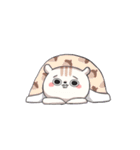 Lv.1  Squirrel GoGo（個別スタンプ：34）