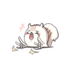 Lv.1  Squirrel GoGo（個別スタンプ：36）