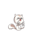 Lv.1  Squirrel GoGo（個別スタンプ：37）