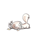Lv.1  Squirrel GoGo（個別スタンプ：38）