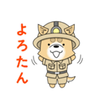 たん犬隊（個別スタンプ：1）