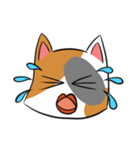 ミケネコ(？)01（個別スタンプ：10）