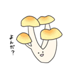きのこたちです。（個別スタンプ：12）