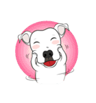 Cigar the Pitbull（個別スタンプ：1）