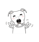 Cigar the Pitbull（個別スタンプ：2）